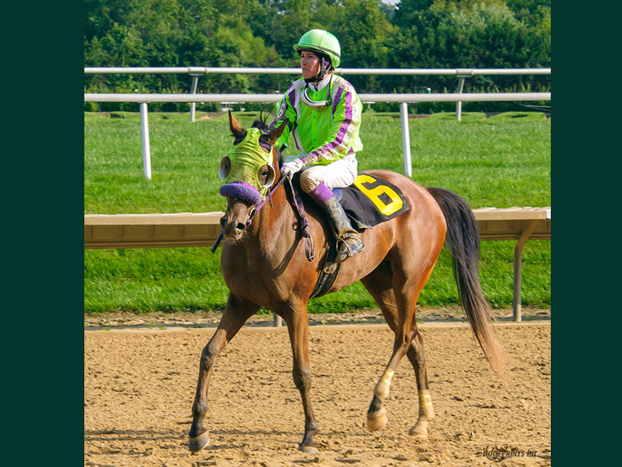 Royally Bred by Cre Run, Thoroughbred x Royal Atheena